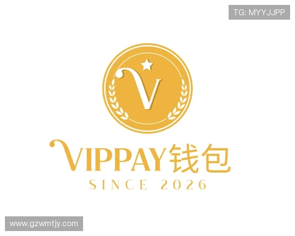 关于VipPay钱包